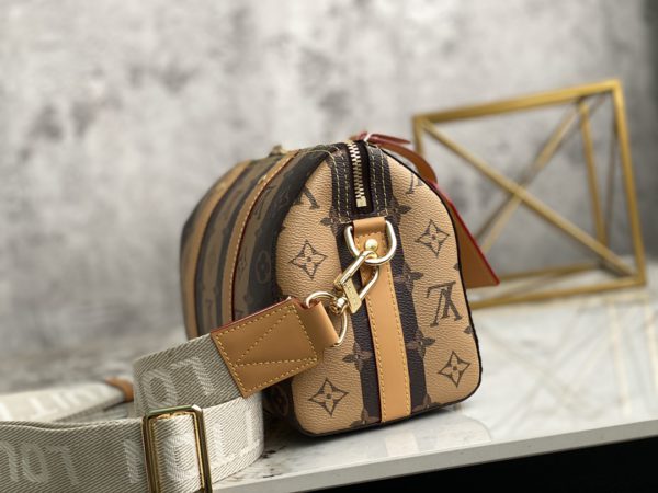 Louis Vuitton Speedy Pillow KEEPALL CITY Handbag - Brown - Image 4