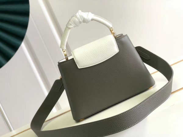 Louis Vuitton Capucines Small MM Bag - Gray - Image 4