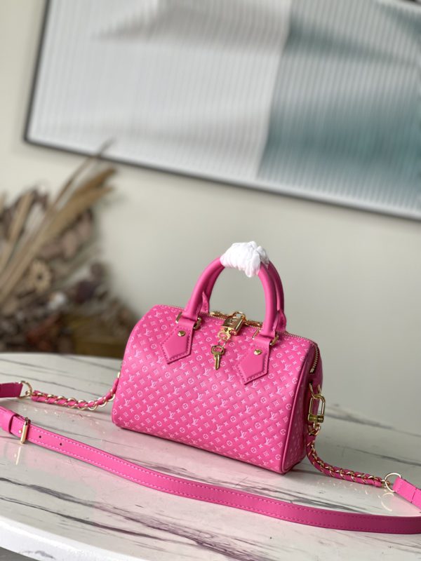 Louis Vuitton Speedy 20 Handbag - Rose Red