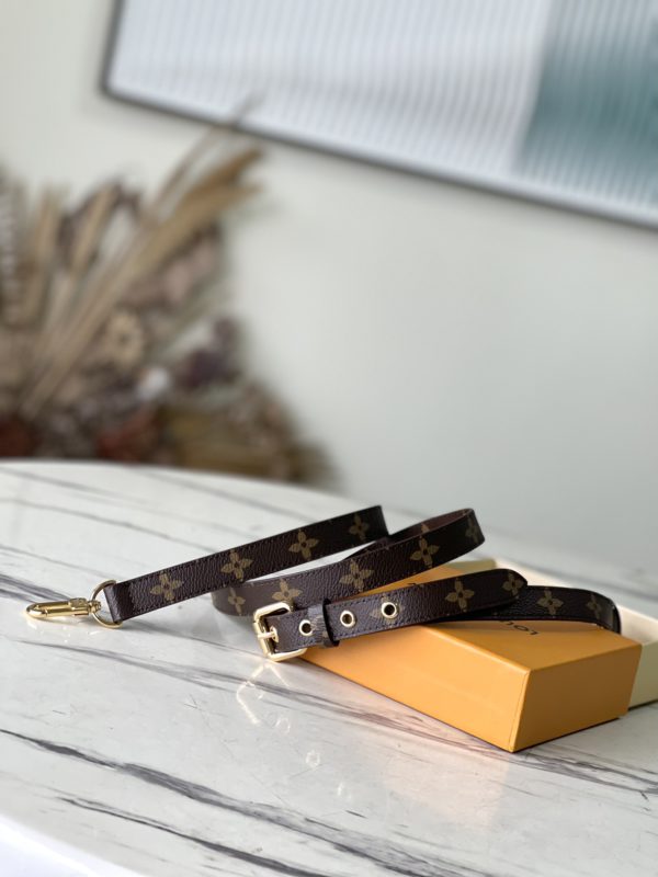 Louis Vuitton Monogram Canvas Shoulder Strap