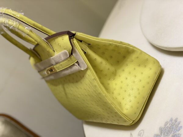 Hermes Ostrich Skin Hand Bag - Yellow - Image 4