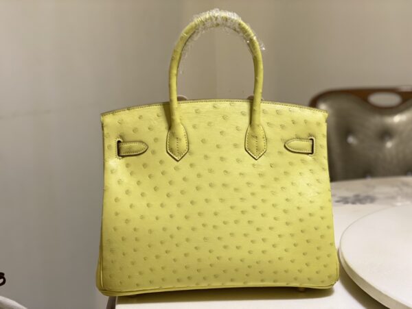Hermes Ostrich Skin Hand Bag - Yellow - Image 3