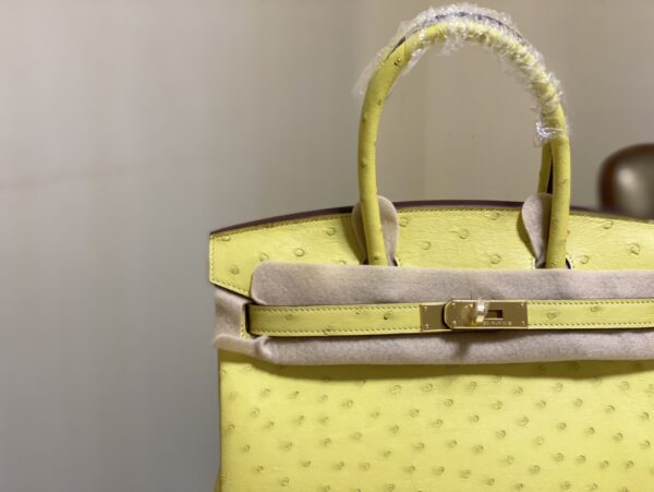 Hermes Ostrich Skin Hand Bag - Yellow - Image 5